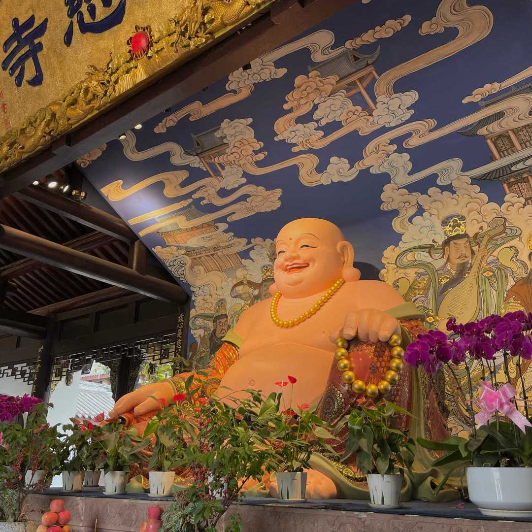新人必红